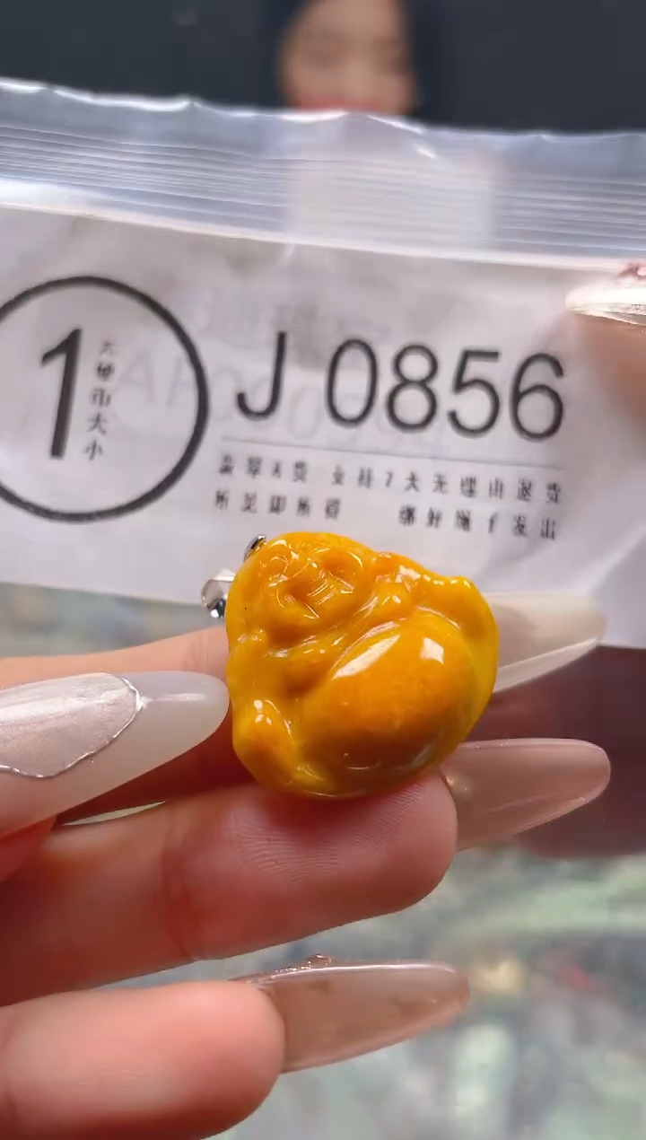 【闪购商品】翡翠颈饰未镶嵌/J/翡翠A货一图一物