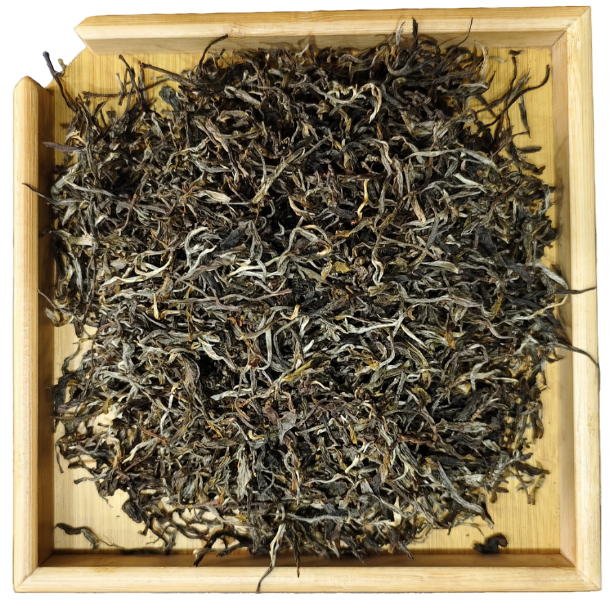 2025年凤凰窝水仙种生茶散茶 G751 JD16