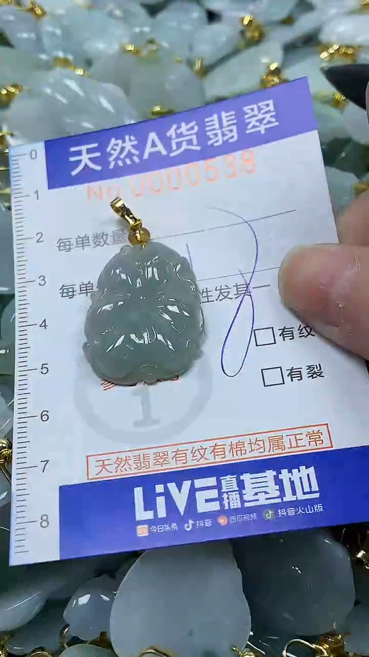 颈饰未镶嵌翡翠纯天然a货翡翠