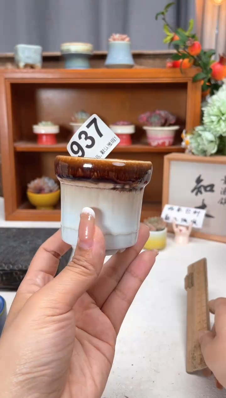 瓷片937知木小芳花盆编号