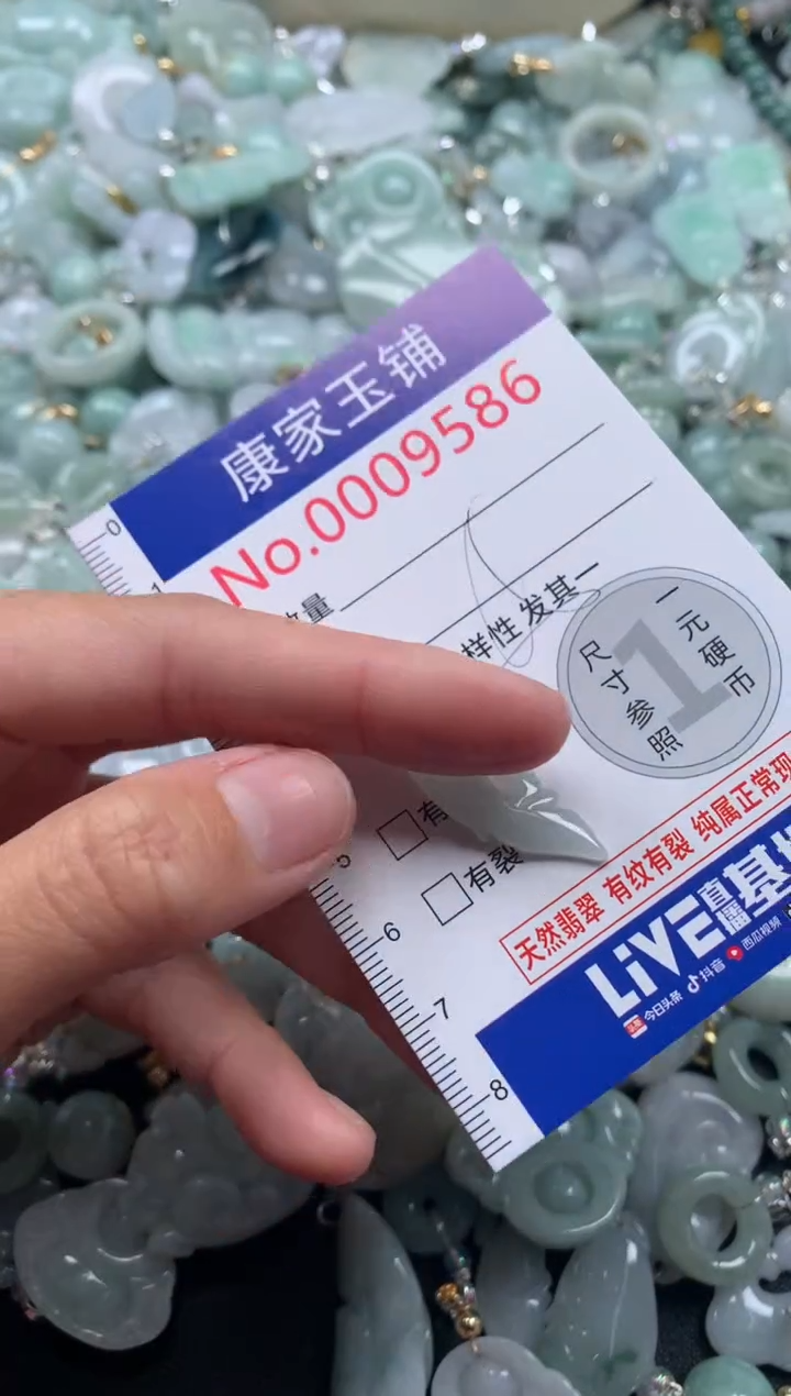 颈饰未镶嵌翡翠9586