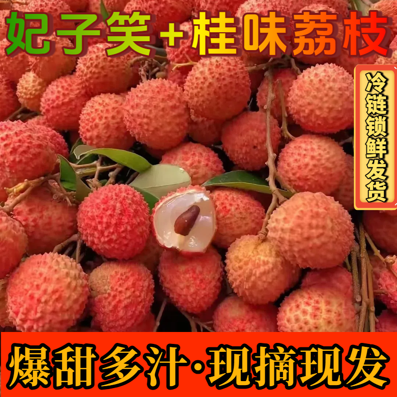 【冷链保鲜发货】妃子笑桂味正宗高品质荔枝孕妇水果当日现摘现发