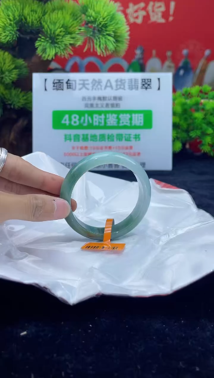 【闪购商品】翡翠手镯未镶嵌9手镯