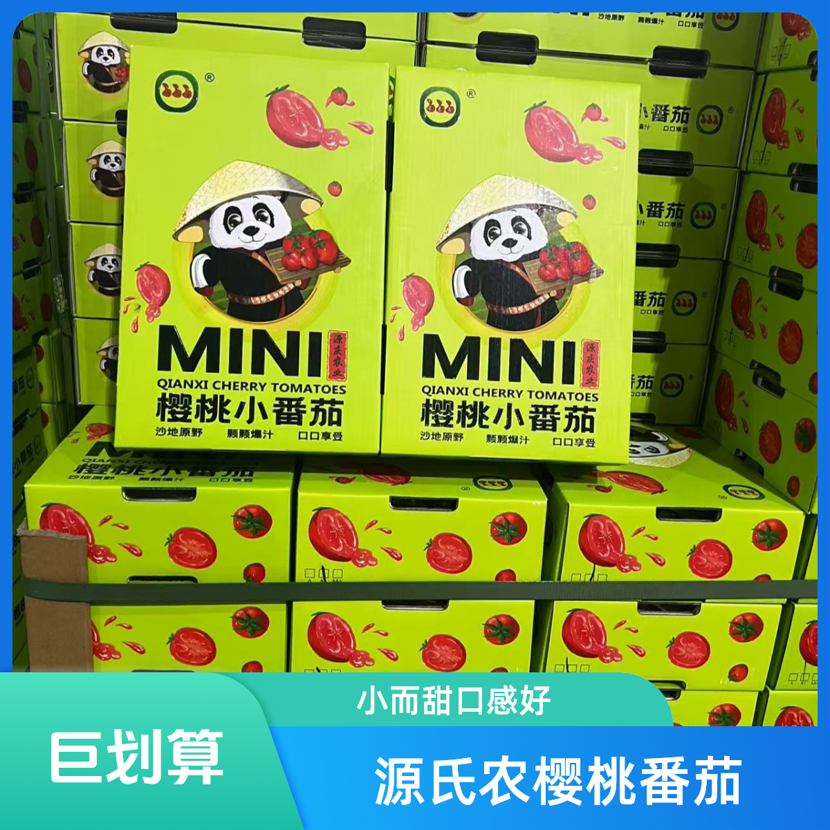 【苏州同城小时达】源氏农业樱桃小番茄脆甜爽口2斤装