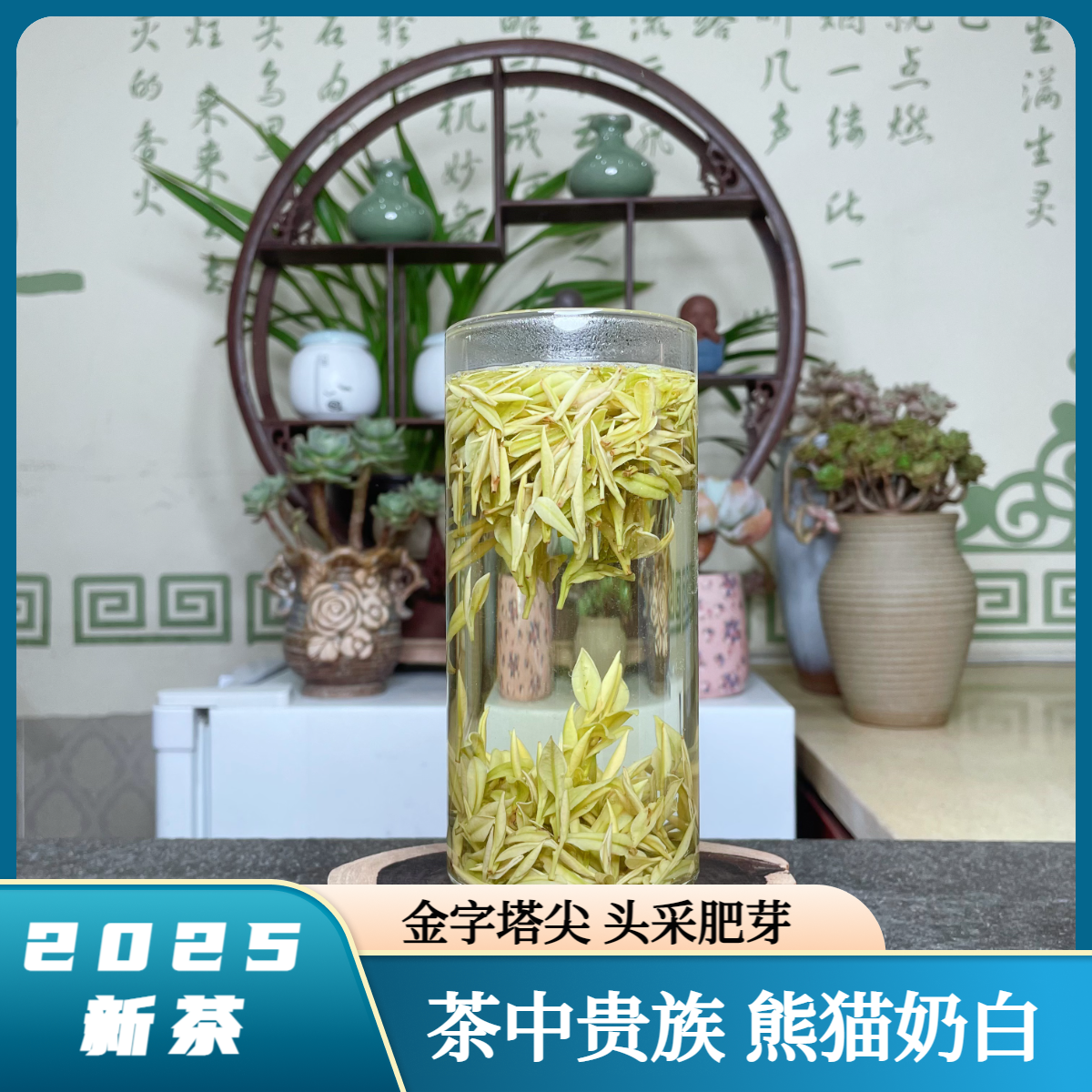 【金字塔尖】25年安吉头采奶白皇金芽（头采款N1）