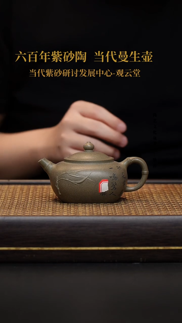 茶壶紫砂宜兴紫砂壶闲竹