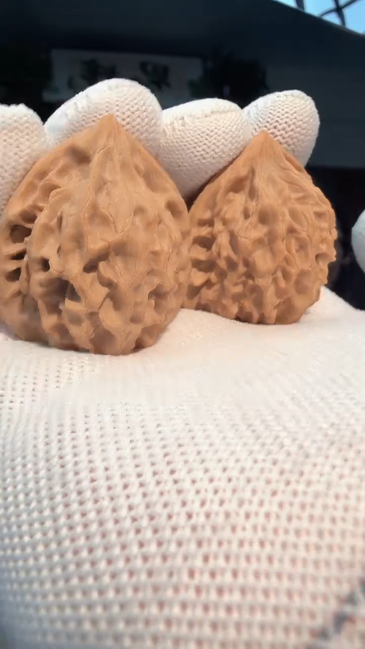 把件龙脊菩提001 龙门涧 37