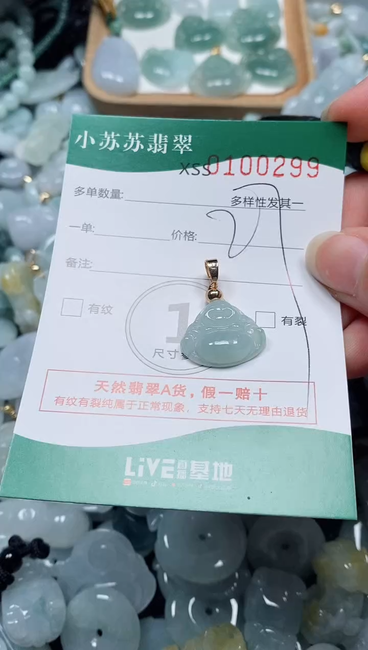 【闪购商品】翡翠颈饰未镶嵌闪购商品0100299