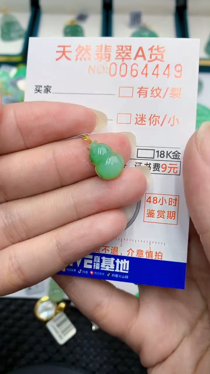 【闪购商品】翡翠颈饰18K金镶嵌            8