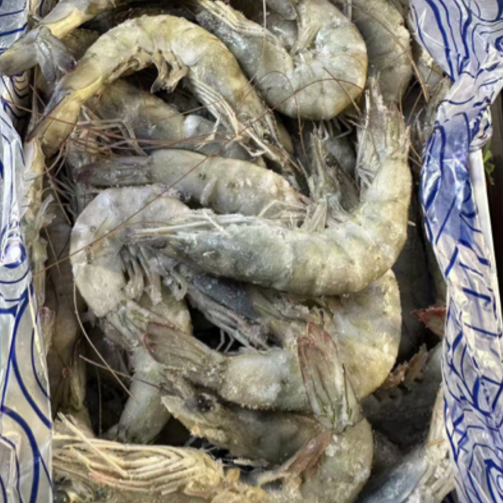 王牌特级3040大虾（盐冻虾）净重约3斤