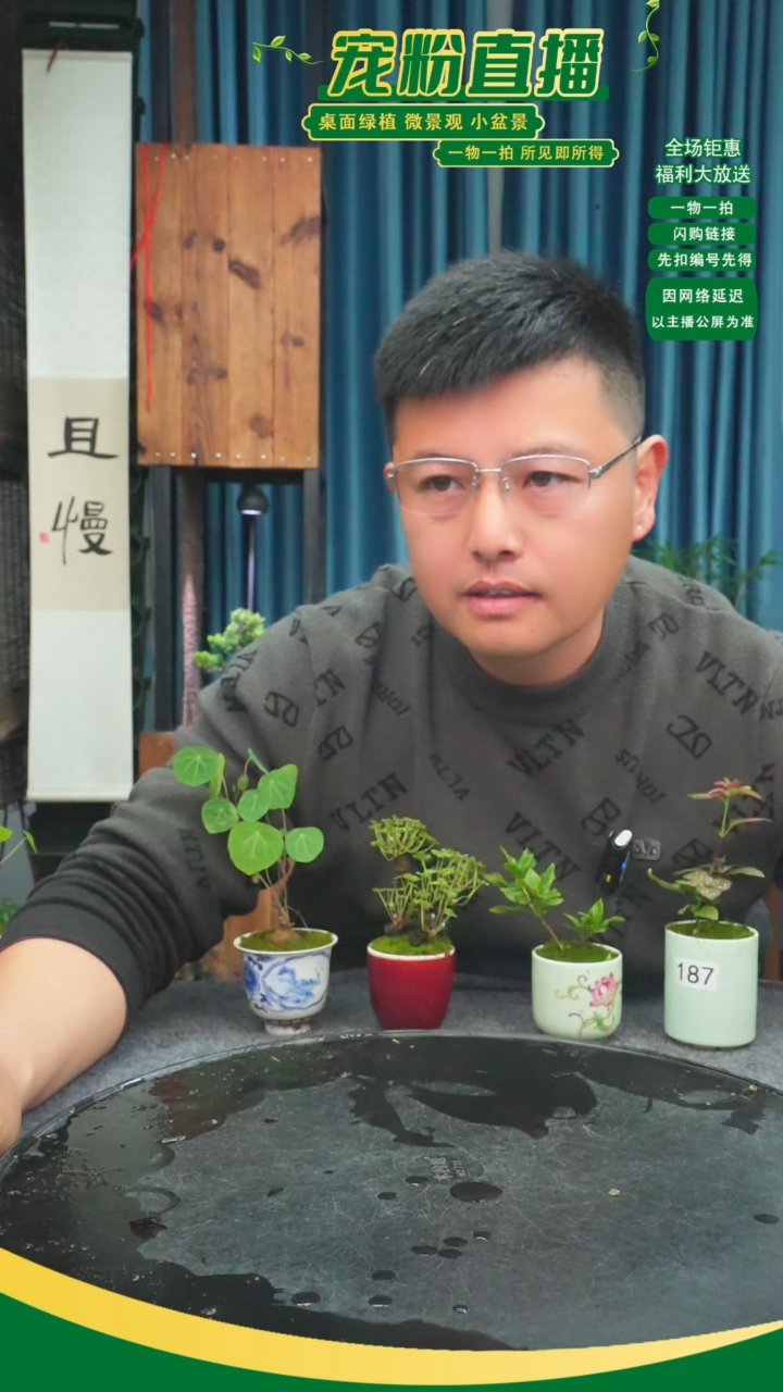 无花朵星*苔藓微景观187号