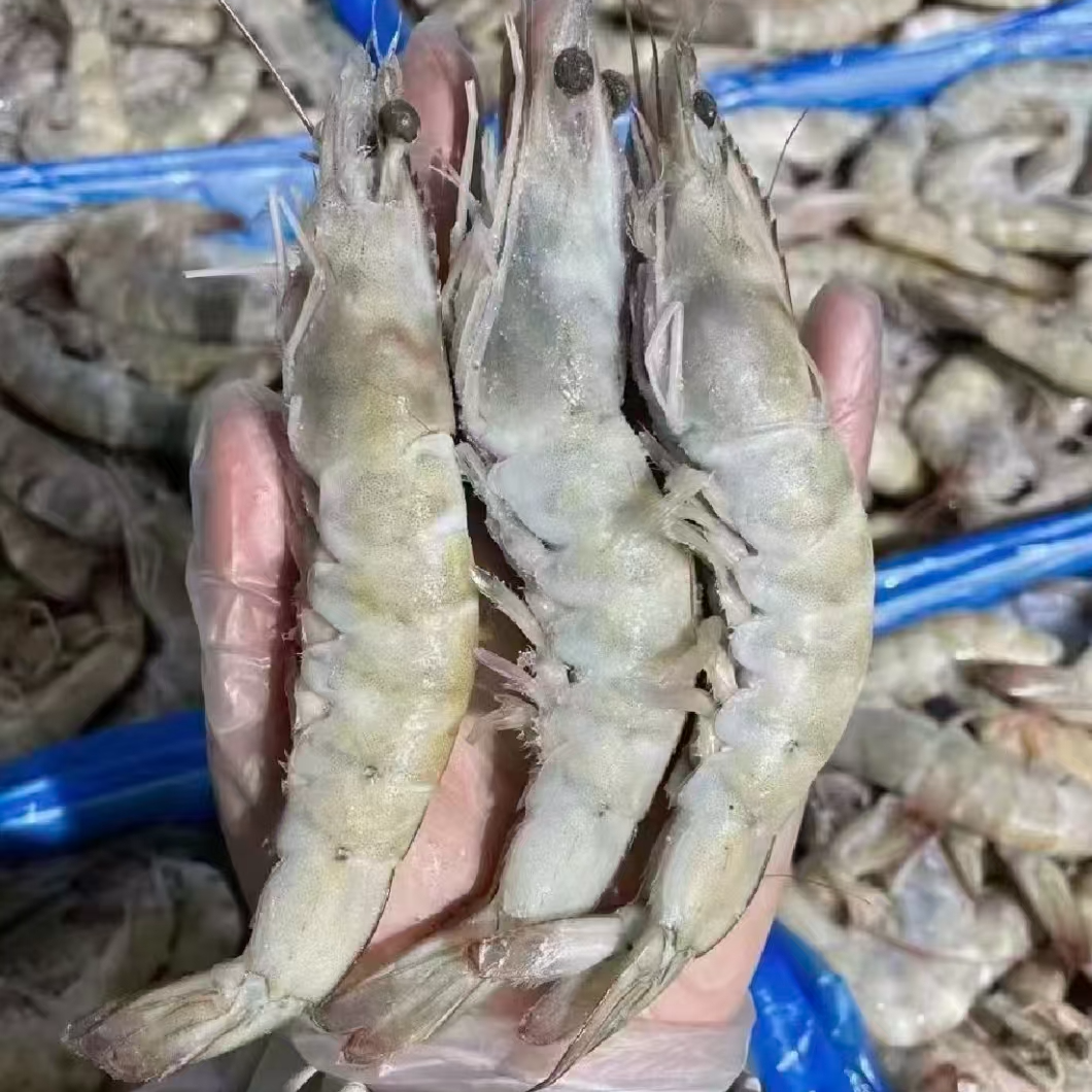 钰隆冻品【30/40盐田虾，肉质Q弹】一斤/16只左右