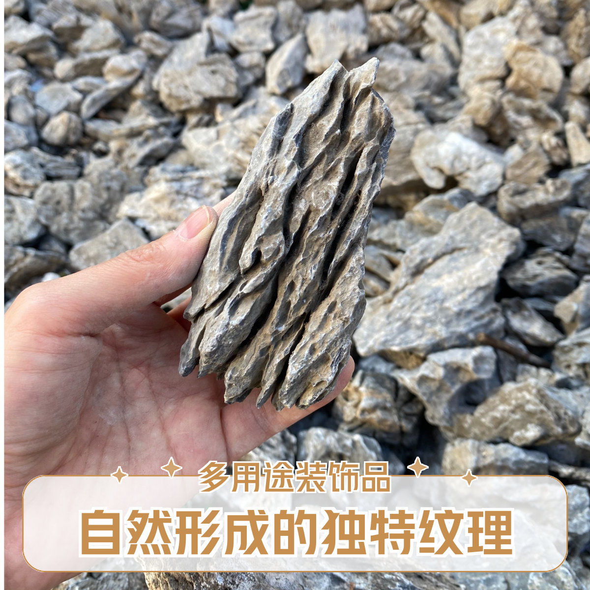 (直播间专属）英石青龙石鱼缸造景微景观假山造景纯天然精选