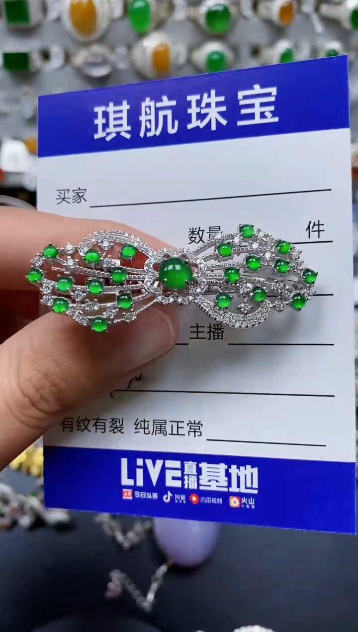【闪购商品】翡翠颈饰银S925镶嵌0130