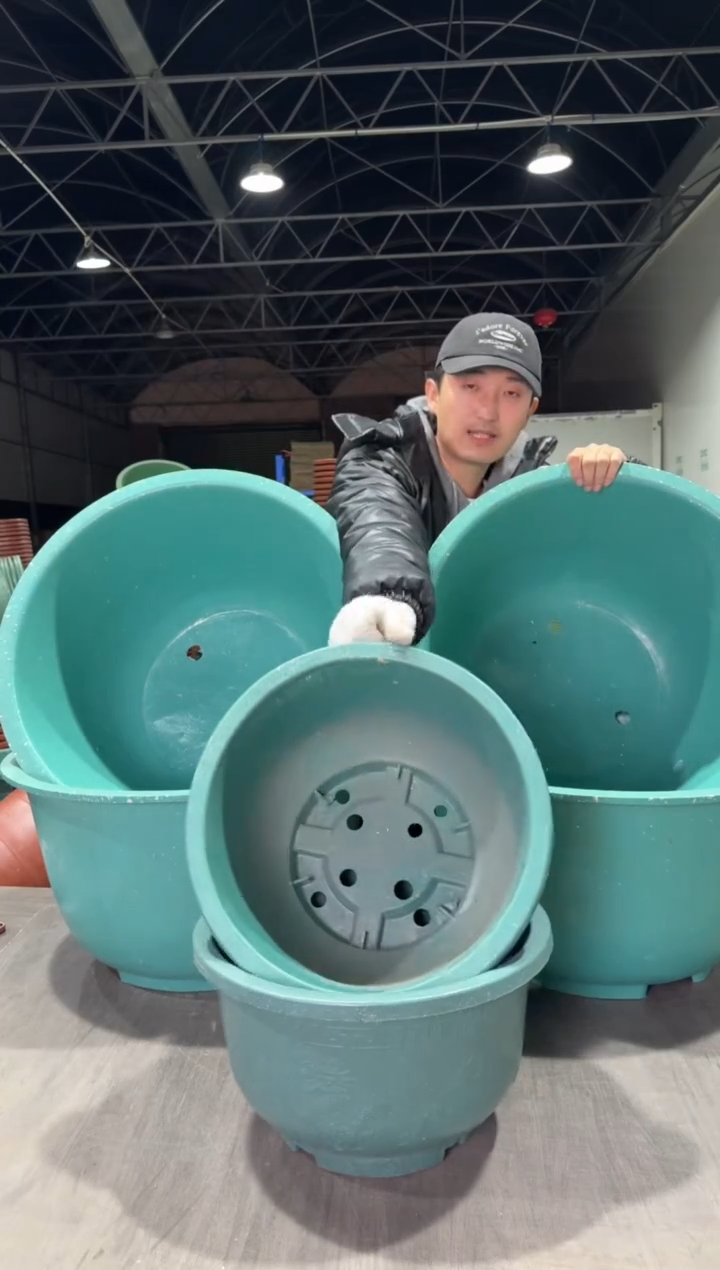 【闪购商品】复合60浅龙盆4个，40龙盆2