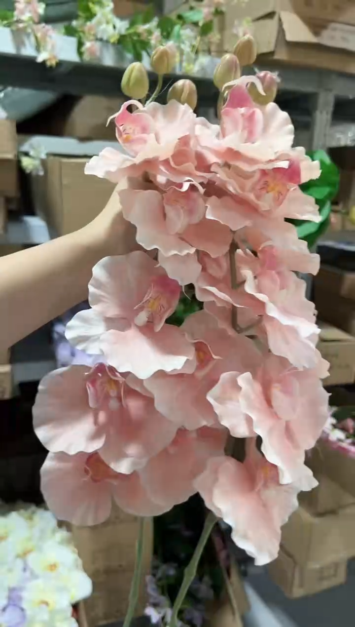 2枝粉色9头蝴蝶兰