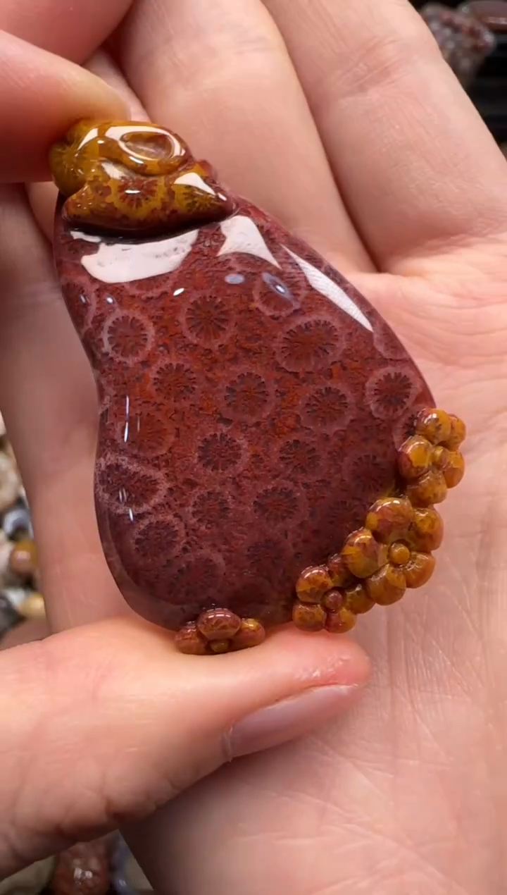 【闪购商品】硅化珊瑚（珊瑚玉）颈饰未镶嵌491