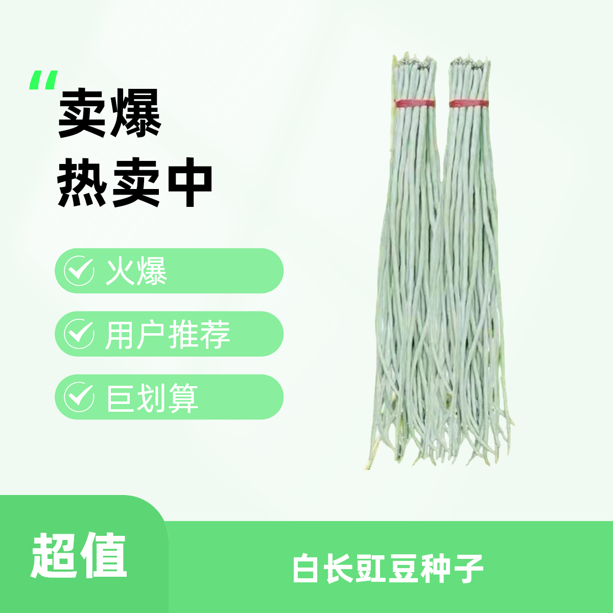 白长豆角种子白色豇豆种籽四季搭架豆籽不老芸豆种籽