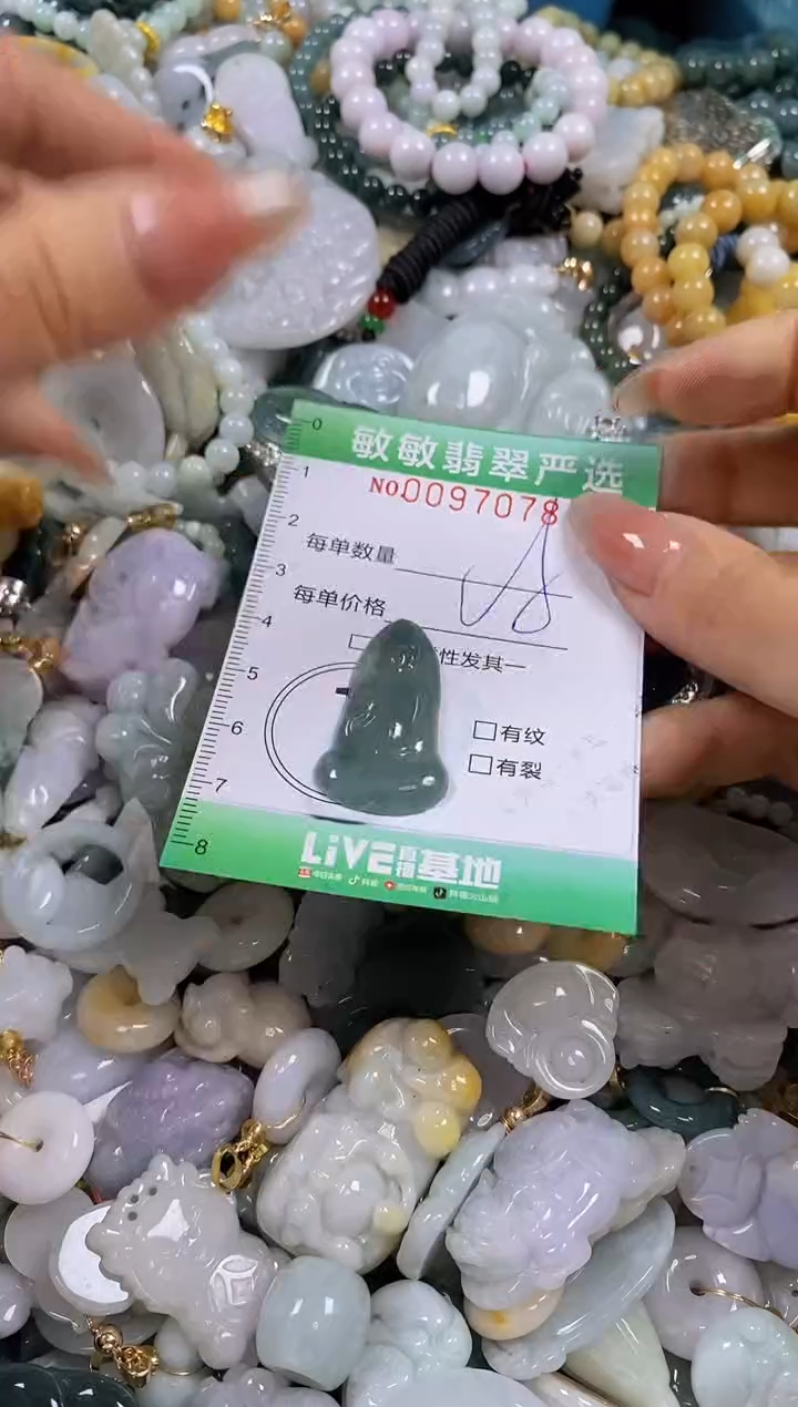 【闪购商品】翡翠颈饰未镶嵌闪购0097078