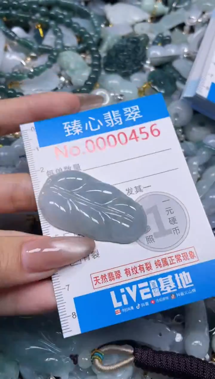 颈饰未镶嵌翡翠456