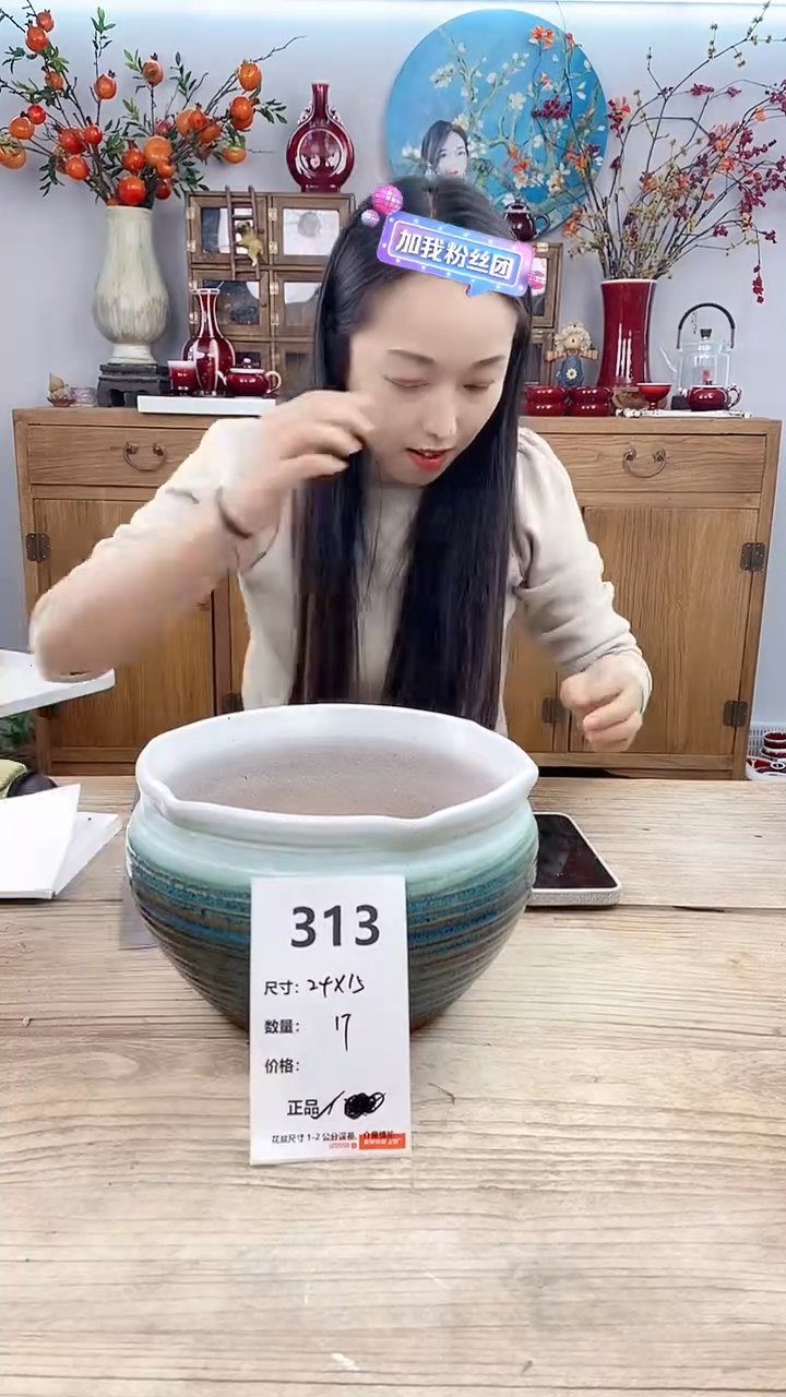 【闪购商品】红陶313