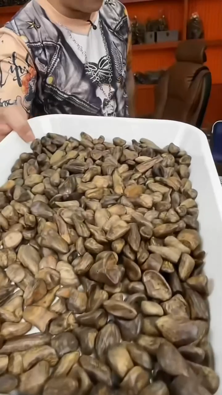 沉香吊坠a25号沉水瘤疤舍利子3粒两个多样性发一