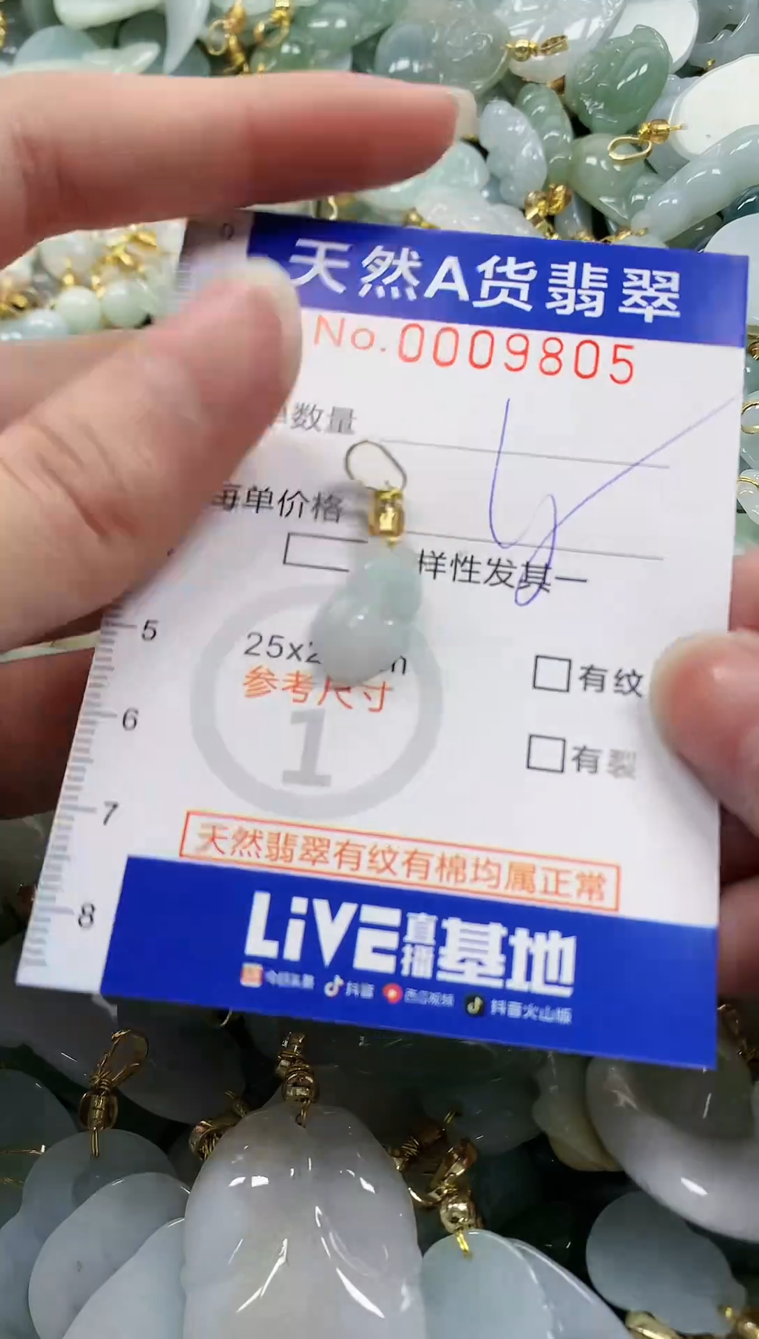 颈饰未镶嵌翡翠纯天然a货翡翠