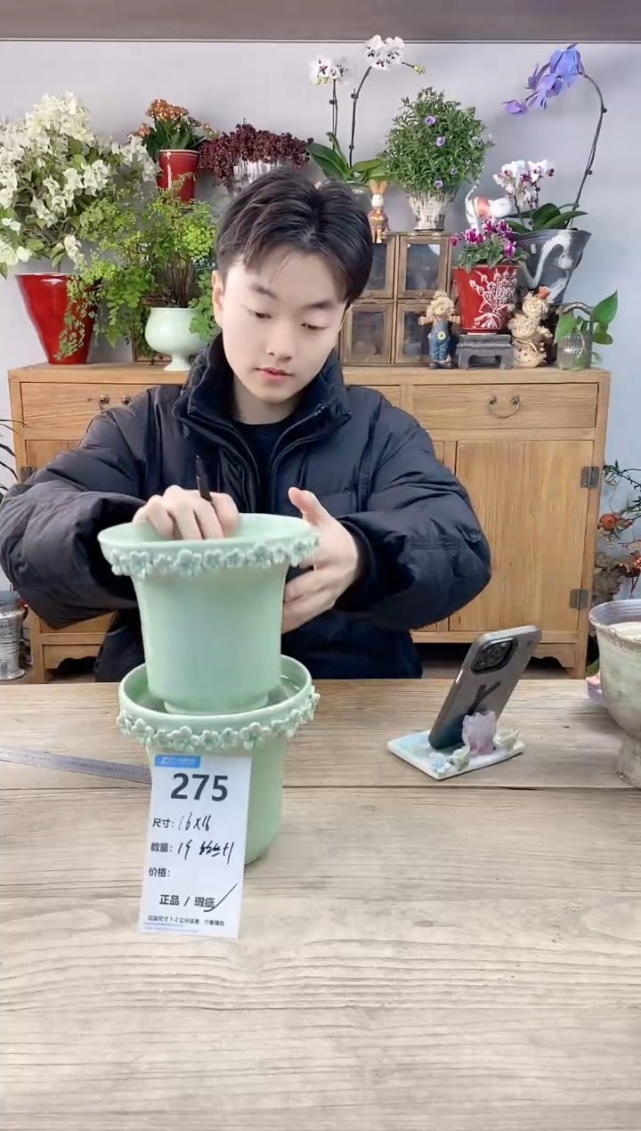 小玩子花盆直播编号275