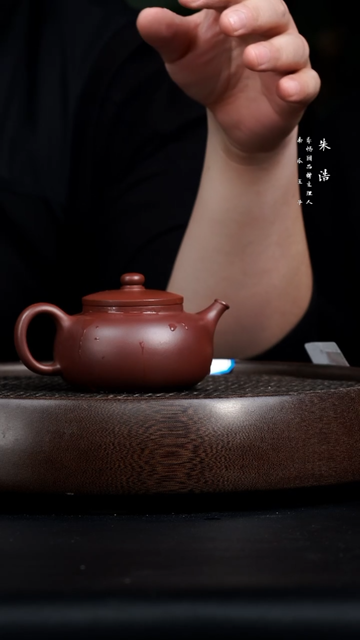 【闪购商品】紫砂茶壶0225早直播季畅园鼓圆