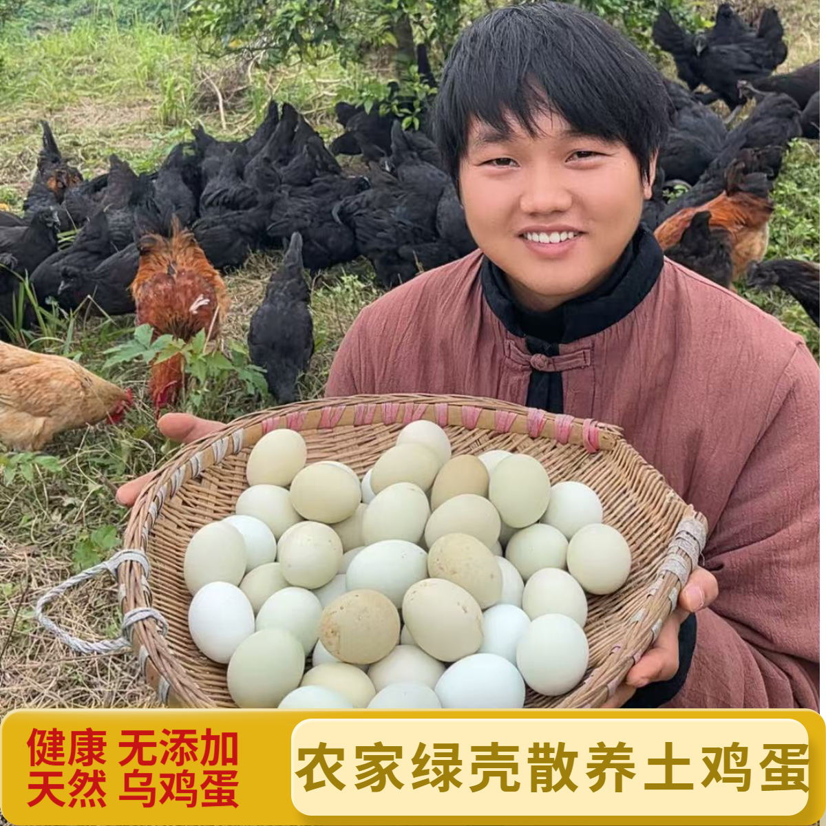 农家散养 绿壳土鸡蛋 正宗自家原产地发货