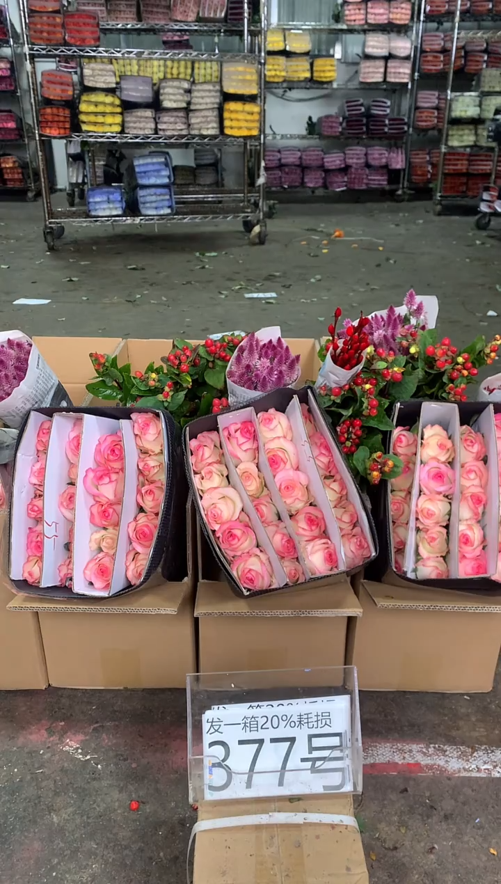 377号♥中通含20%耗损发一箱鲜花