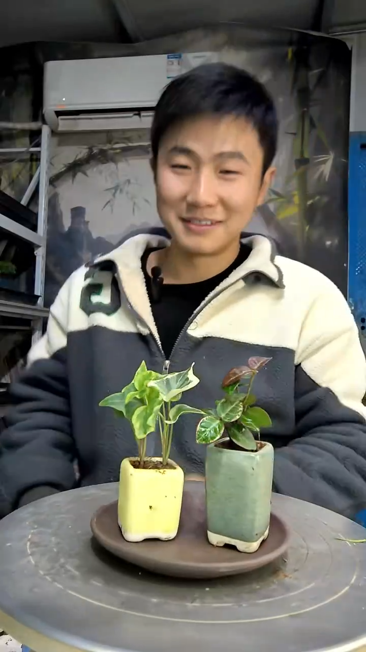 潇*中青园艺一物一拍花254