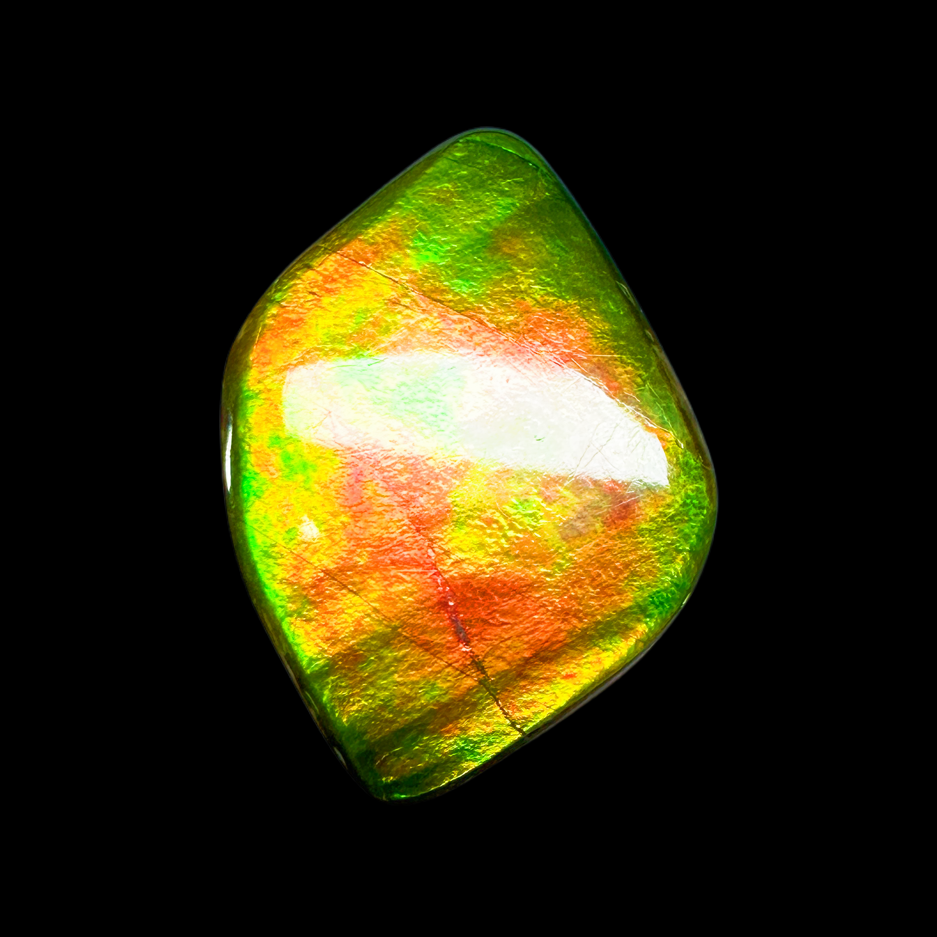 【斑彩】30.5mm 原石 BC 产地：加拿大 古贝壳T6