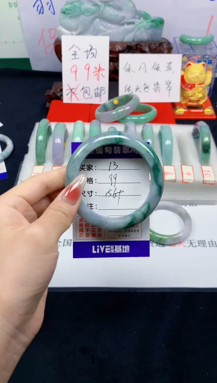未镶嵌手镯翡翠13