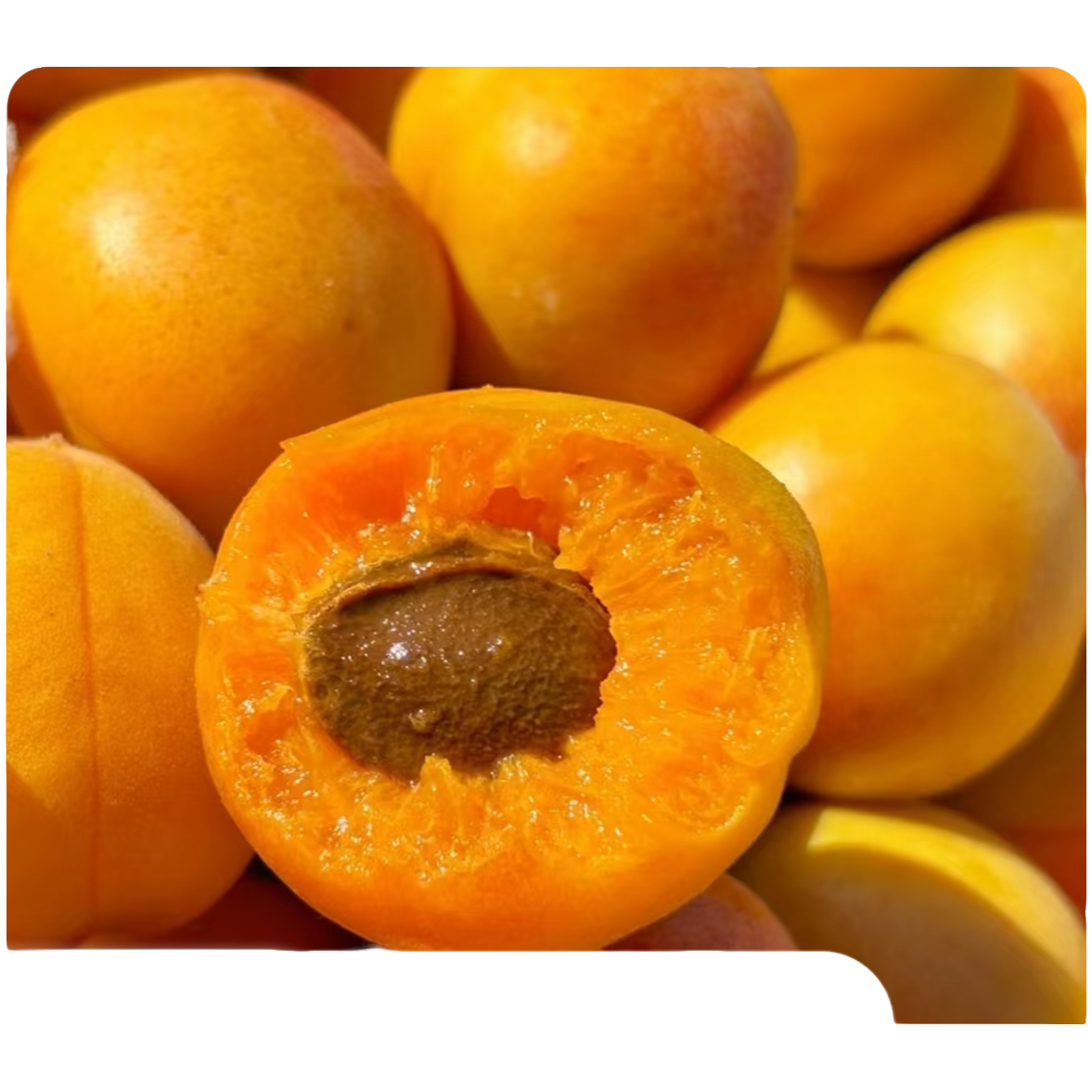 【明日到】头茬 新疆吊干杏软糯甘甜3.5斤装新鲜水果现货直发新疆新疆维吾尔自治区