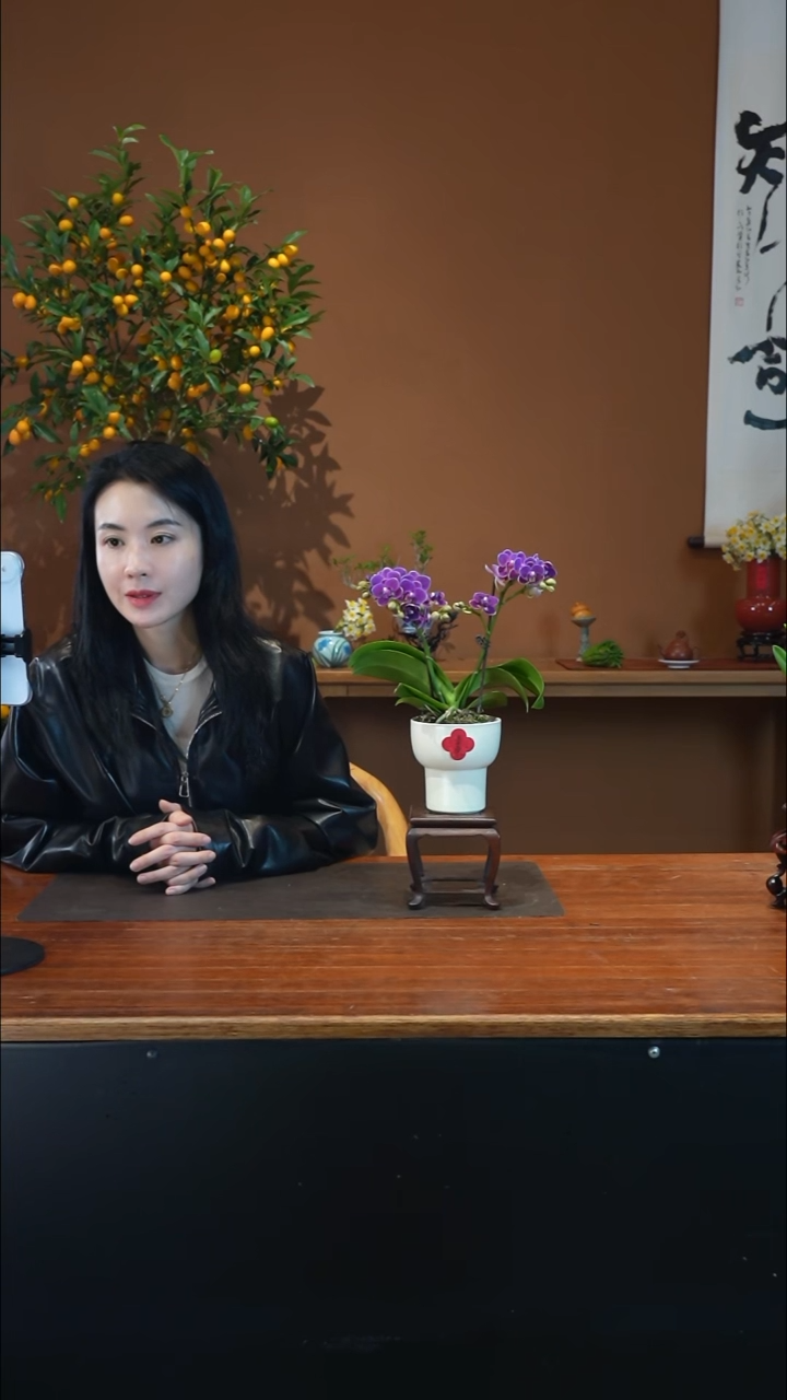 全部花朵蝴蝶兰白盆盆景盆景