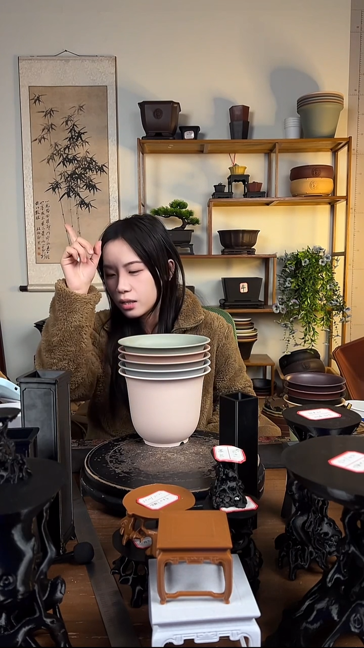 5只18口径金钟马卡龙色系