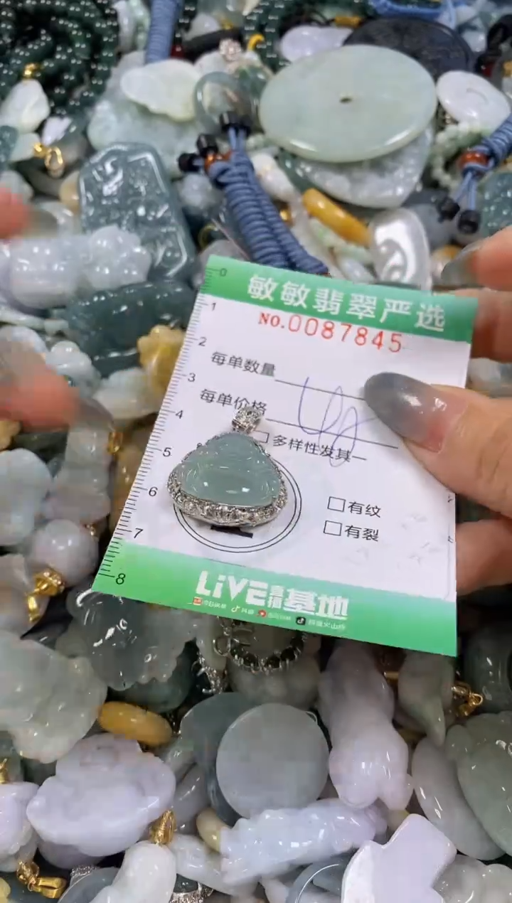 【闪购商品】翡翠颈饰未镶嵌闪购0087845