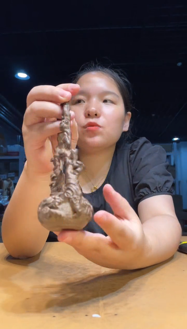 风车木（黑檀木）其他（ 直播推荐 ）提梁壶
