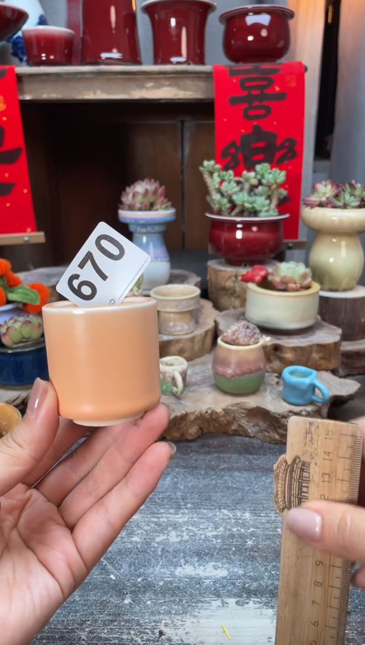 【闪购商品】摆件670知木小芳花盆