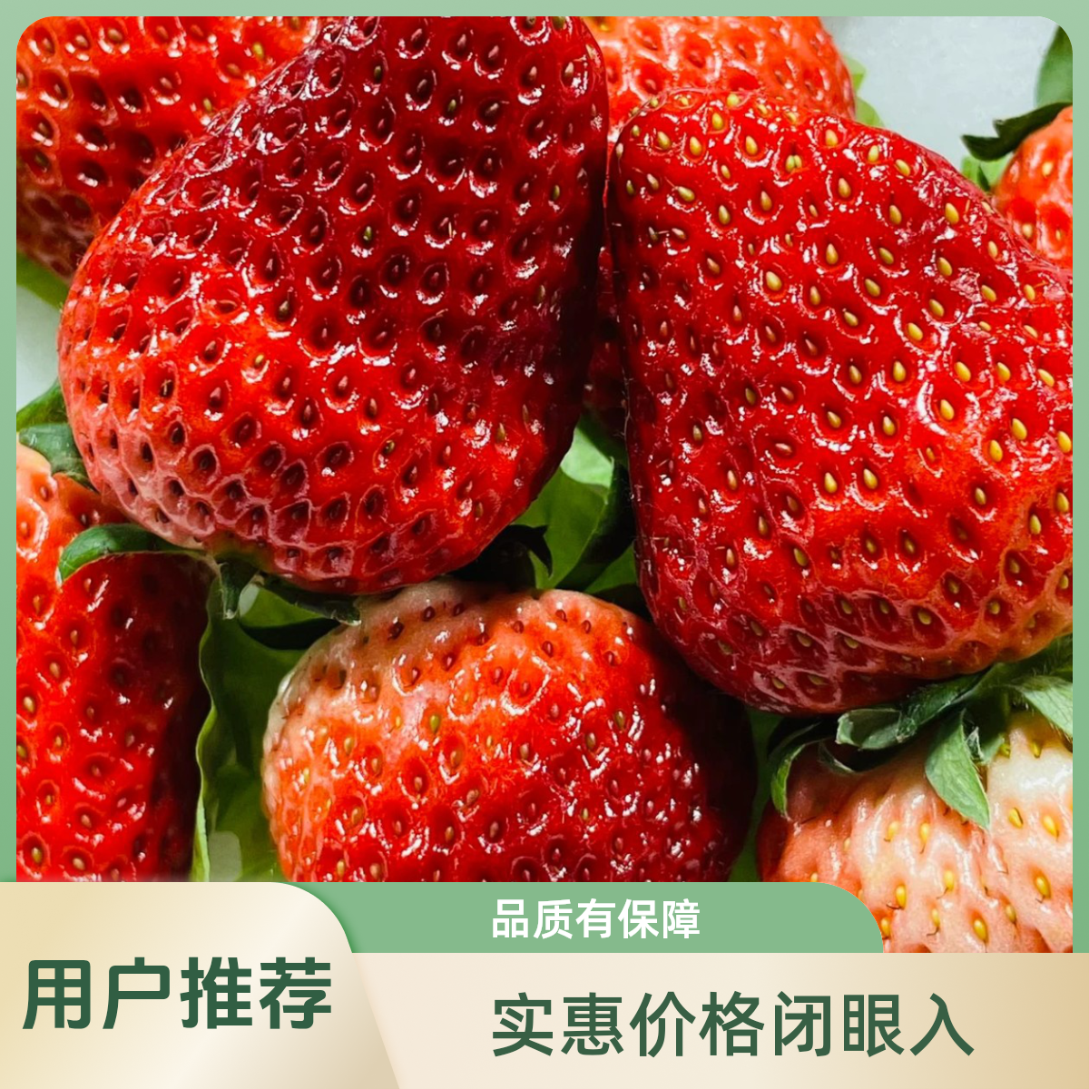 6排一板，丹东久久草莓一板，长春四环以内可以配送，其他地区无法配送