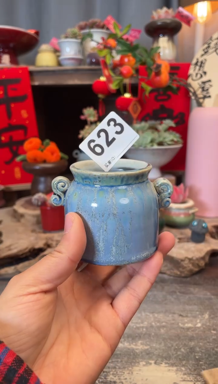 【闪购商品】摆件623知木小芳花盆