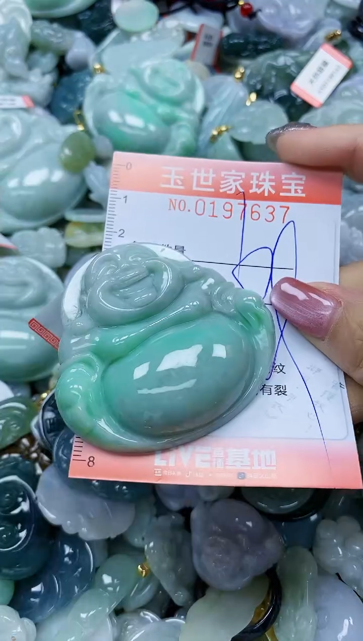 【闪购商品】翡翠颈饰未镶嵌闪购0197637