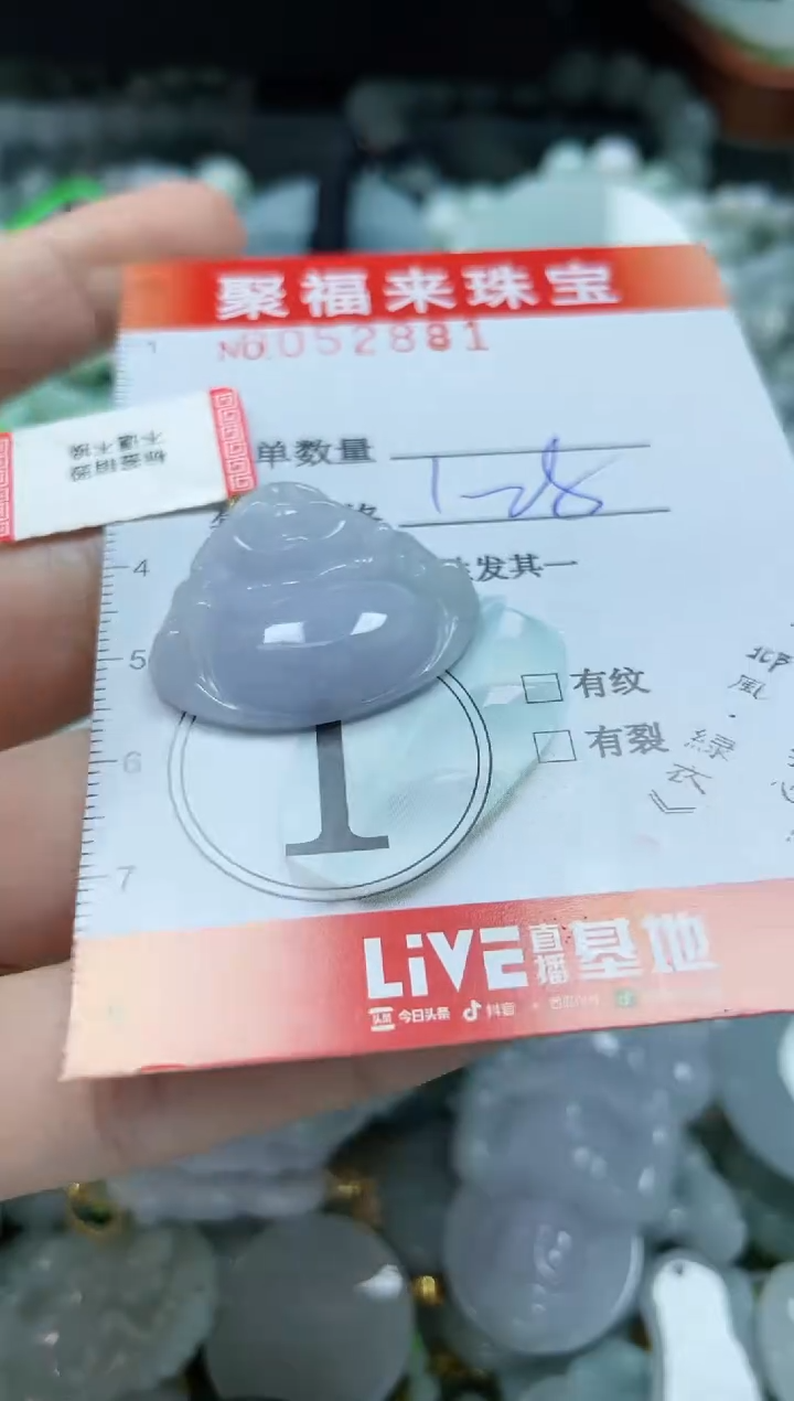 【闪购商品】翡翠颈饰未镶嵌闪购0052881