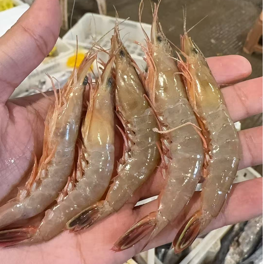 【4斤滑皮虾】东海野生海捕利虾剑虾麻虾条虾顺丰冷链包邮