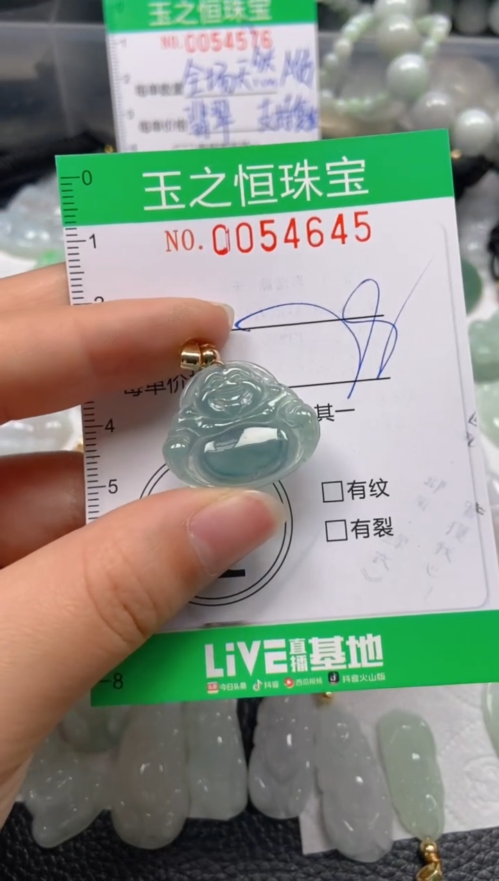 【闪购商品】翡翠未镶嵌颈饰闪购0054645