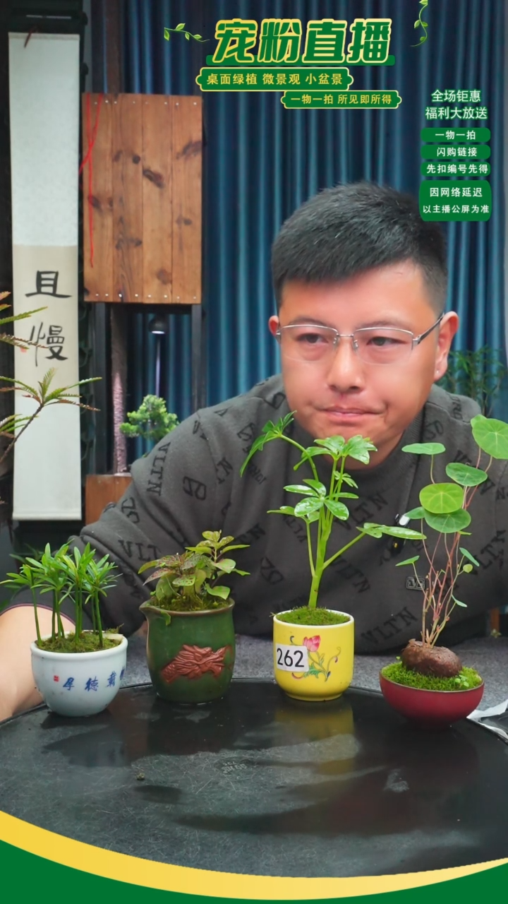 无花朵温****．苔藓微景观262号