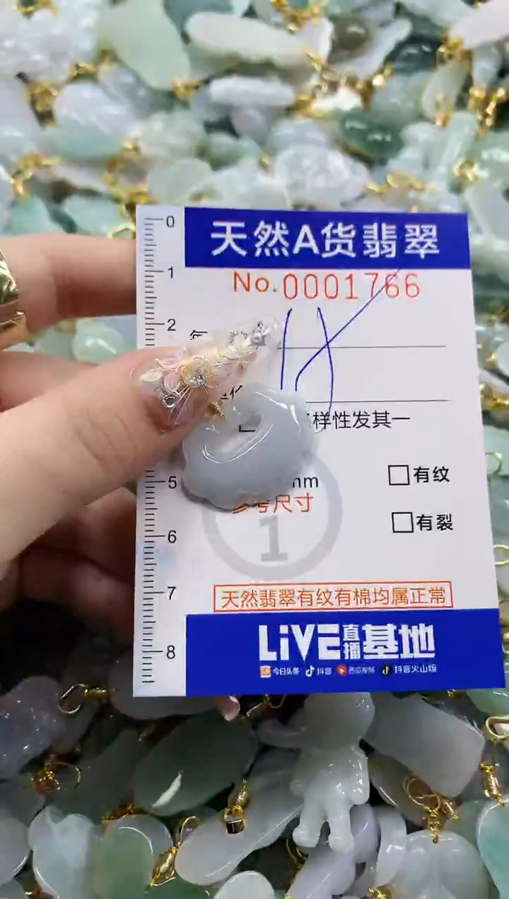 颈饰未镶嵌翡翠天然A货翡翠
