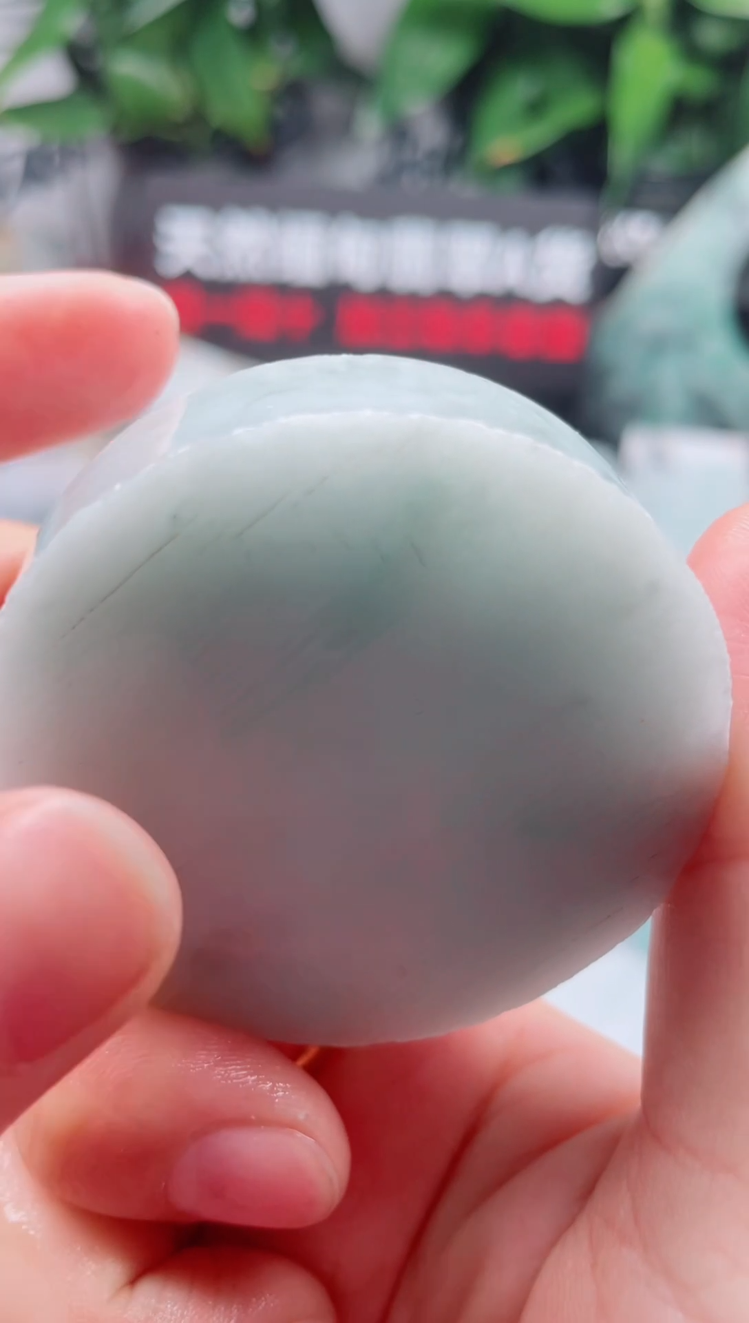 翡翠未镶嵌颈饰华803