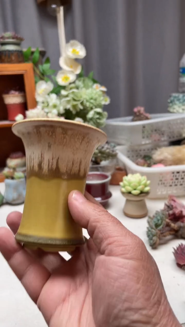 瓷片金*?706福利小芳直播编号
